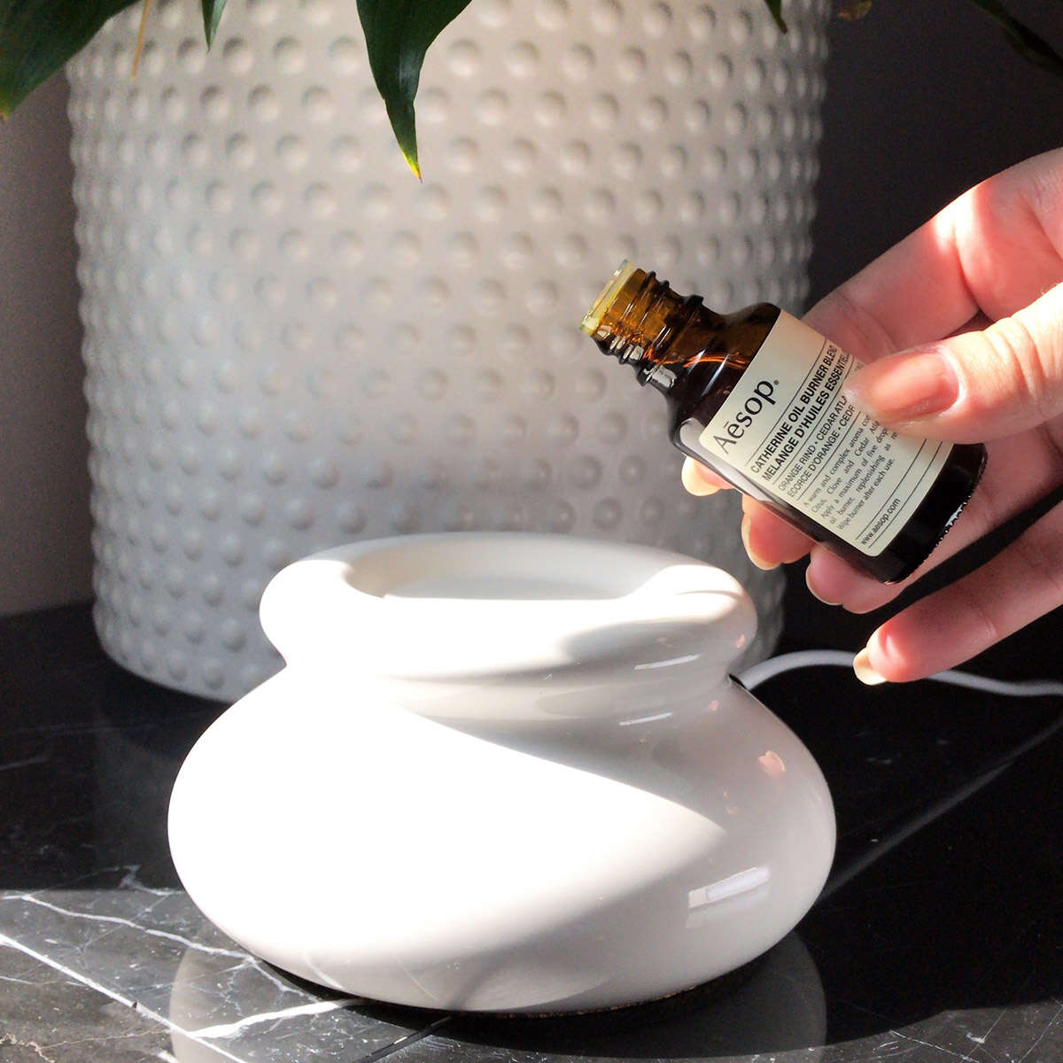 Zetox Suspension